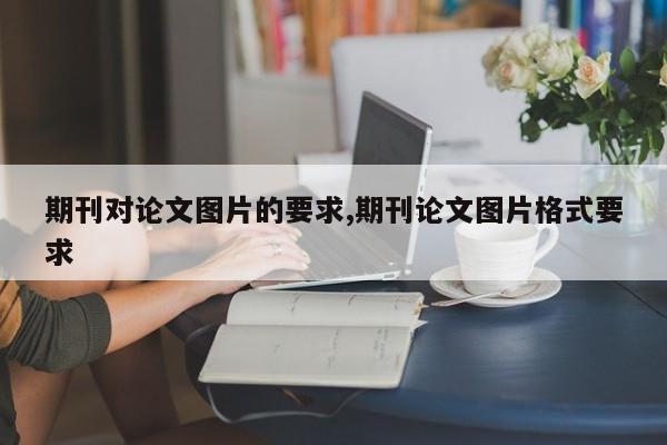 期刊对论文图片的要求,期刊论文图片格式要求