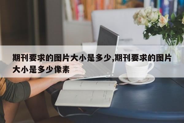 期刊要求的图片大小是多少,期刊要求的图片大小是多少像素